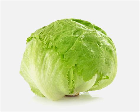 DELGAFRUITS – Producto lechuga iceberg