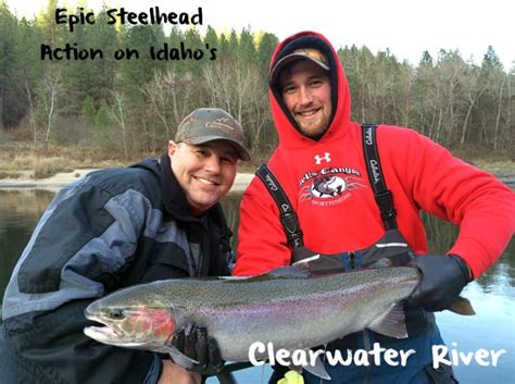 Epic Day For Idahos Clearwater Steelhead Pautzke Bait Co