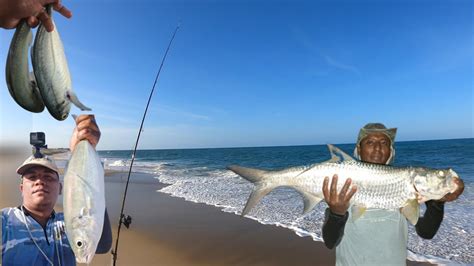 Nessa Pescaria De Praia N O Dava Tempo Respirar A O De Peixe At O