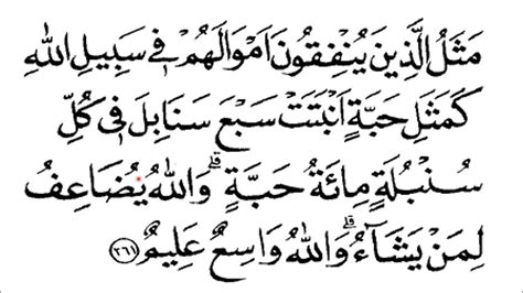 Membaca Surat Al Baqarah Ayat 261 Dan Terjemahannya Youtube