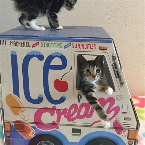 Why Should Kids Have All The Fun Oto Ice Cream Truck Is Now Available