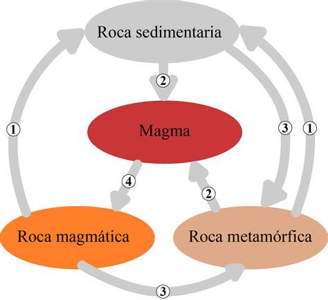 El Ciclo De Las Rocas 20 Palabras