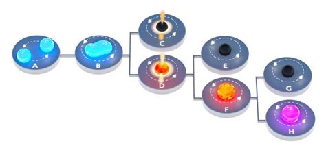 The Aftermath Of Binary Neutron Star Mergers What Remains Behind