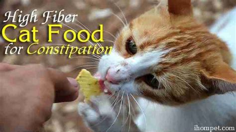 Top 5 High Fiber Cat Food For Constipation IHomePet