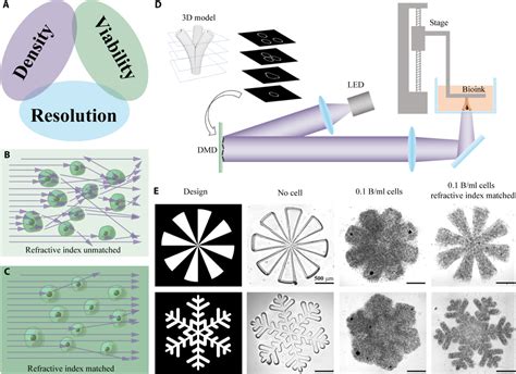 纳米人 Science Advances：高细胞密度和高分辨率3d生物打印用于制造血管化组织