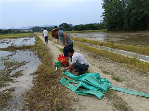 【下基层 察民情 解民忧 暖民心】水来了，300亩农田有救了齐林田家门青山镇