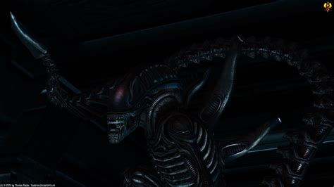 225257 1920x1080 Xenomorph Rare Gallery Hd Wallpapers