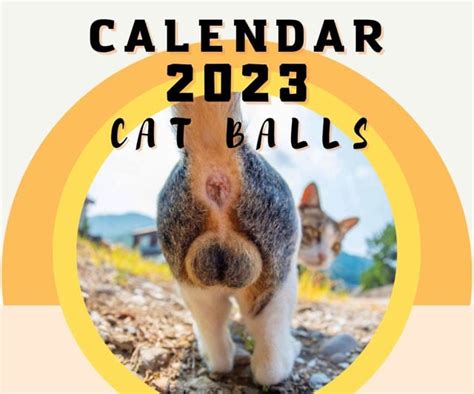 2024 Cat Calendar Printable - 2024 CALENDAR PRINTABLE