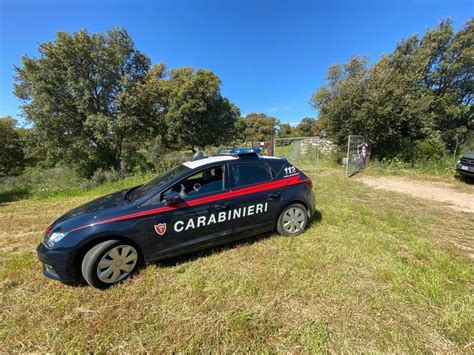 Allevatore Freddato Con Una Fucilata Al Volto Nel Sassarese Notizie