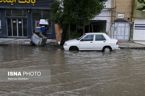 آخرین جزئیات از خسارت بارش‌های گلستان از آبگرفتگی منازل تا تلفات دام