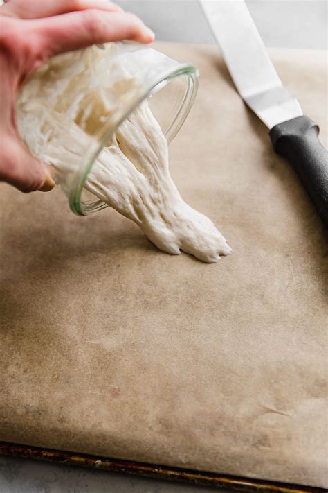 How To Dry Sourdough Starter A Beautiful Plate