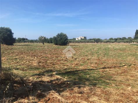 Ter Agricolo In Vendita A Polignano A Mare Bari Mq