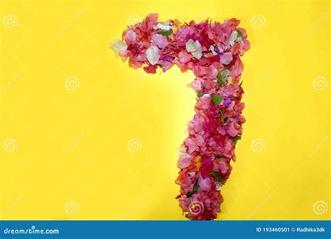 Flower Numeric Seven Number 7 Digit Stock Image Image Of Design