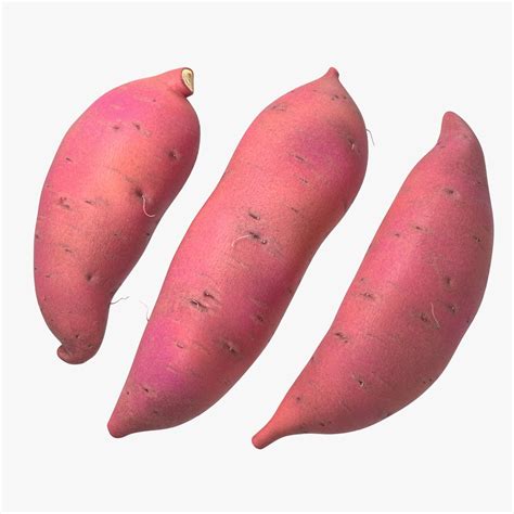 Sweet Potatoes Red 3d Model 29 3ds Blend C4d Fbx Max Ma Lxo