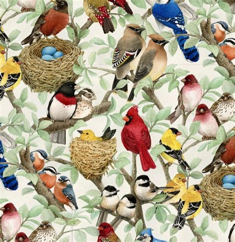 Beautiful Birds Fabric Song Bird Fabric Birds Fabric Etsy