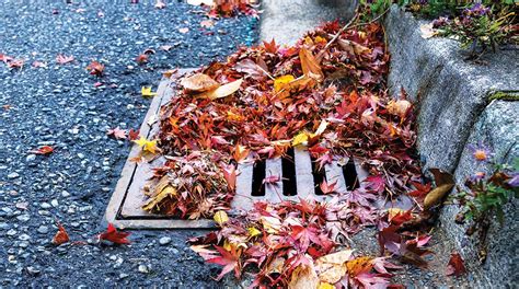 RiverLink Presents Adopt A Storm Drain Program The Laurel Of Asheville