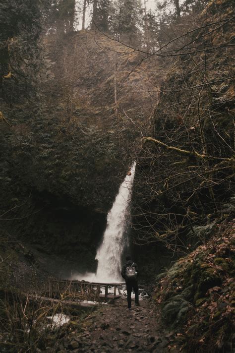 Waterfall Near Hiking Trail · Free Stock Photo