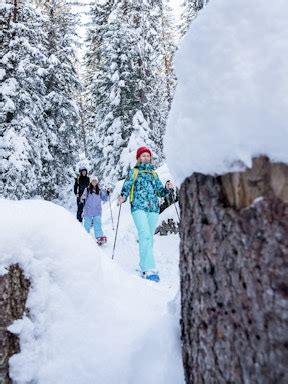 Interlaken Hiking Trails: Alpine Adventures Await