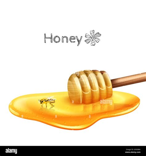 Sweet Honey Puddle With Stick And Bee Realistic Vector Illustration