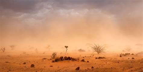 Sandstorm Images – Browse 21,994 Stock Photos, Vectors, and Video ...