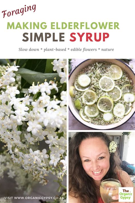 Homemade Elderflower Cordial Recipe The Organic Gypsy