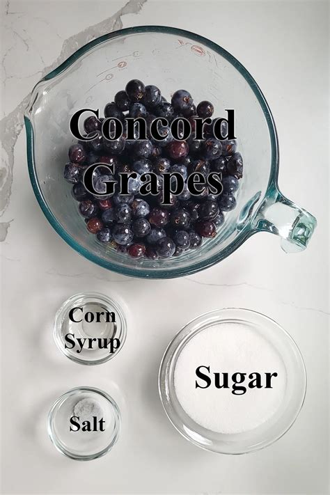 Concord Grape Sorbet Baking Sense®