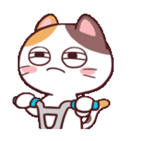 Sticker Maker - Meong the Meme Cat