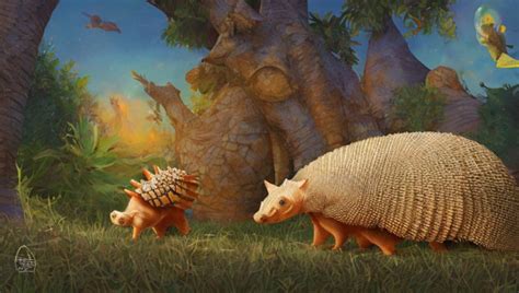 Examining the Unique Adaptations of the Armadillo