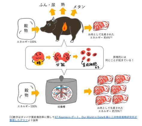 Q 「培養肉」のメリットは？ Jaca細胞農業研究機構