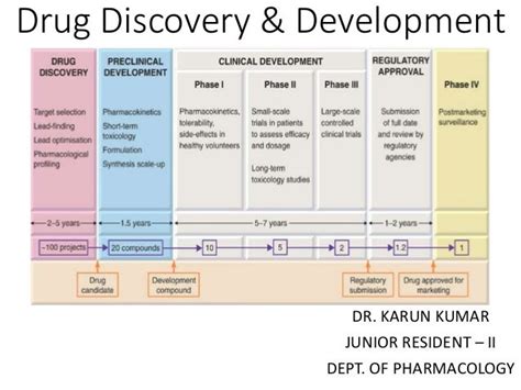 Stages Of Drug Development