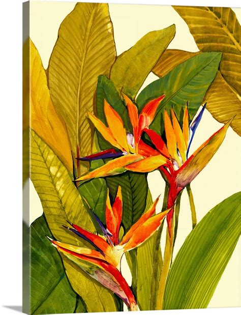 Tropical Bird of Paradise | Great Big Canvas