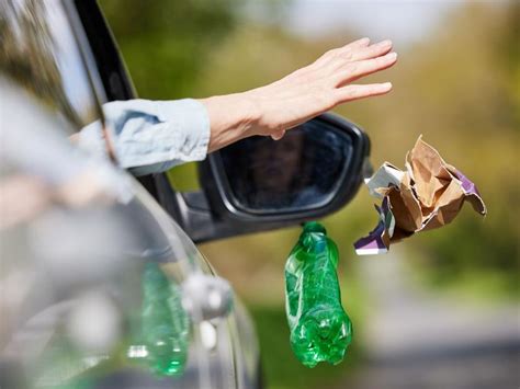 ¿cuál Es Multa Por Tirar Basura En La Calle Dinero En Imagen