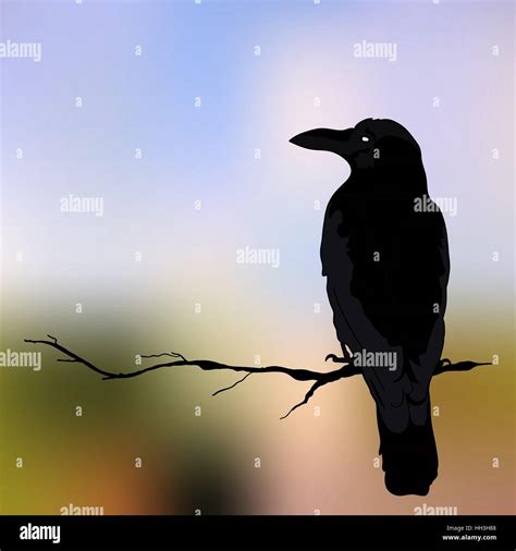 Silhouette Of A Crows In Different Positions Vector Illustration Stock