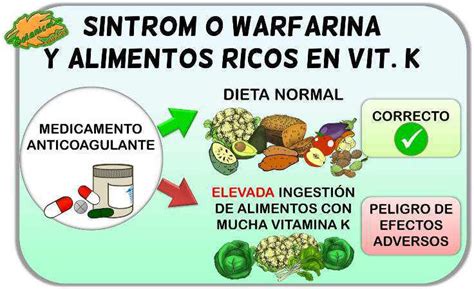 Comer Alimentos Con Vitamina K Y Anticoagulantes Botanical Online