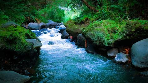 Relaxing Water Sound Of A Gently Flowing Waterfall For Sleep Therapy