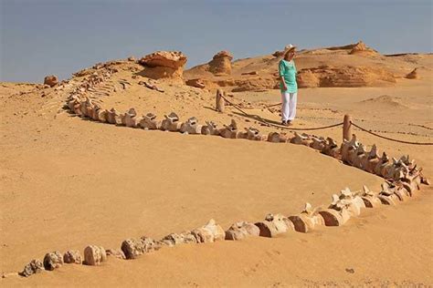 Une Journ E D Sert De Fayoum