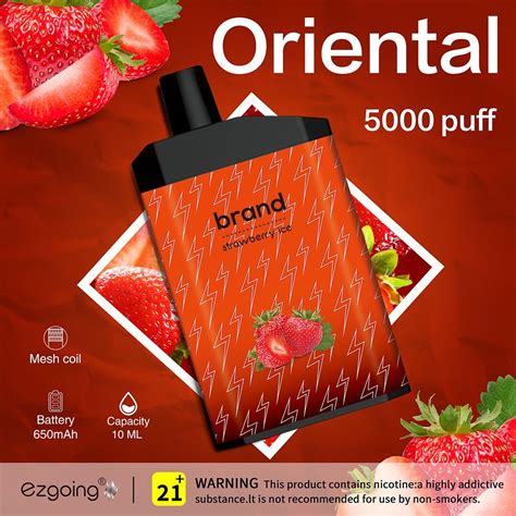 Hot Disposable Vape Mesh Coil 5000 Puffs 12ml Eliquild Rechargeable 11