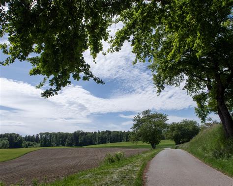 Du Pied du Jura au Léman Morges Région Tourisme