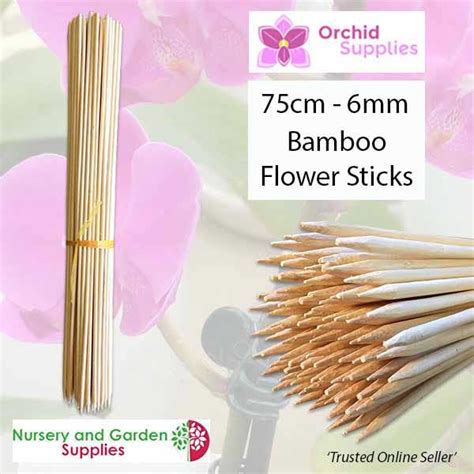 75cm Bamboo Orchid Flower Sticks - Natural colour