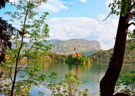 Belas Paisagens A Igreja No Meio Do Lago Bled Eslov Nia Foto Premium