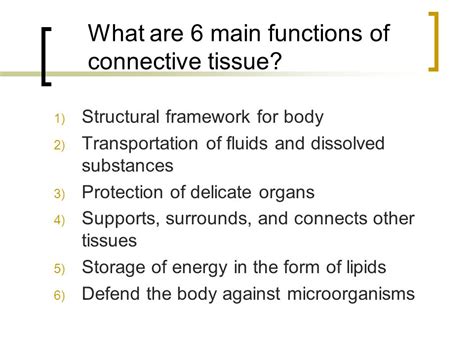 Connective Tissue Types (Examples) And Functions, 44% OFF