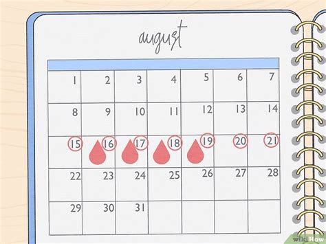 C Mo Llevar Un Calendario Menstrual Con Im Genes