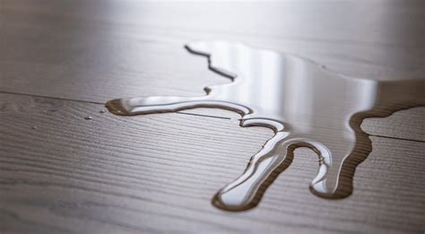 Влагостойкий ламинат: что это такое, чем отличается от водостойкого ...