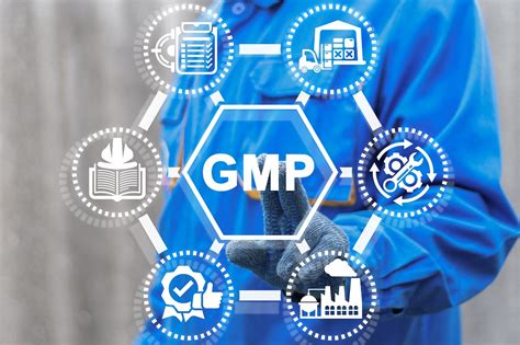 Czym Jest Gmp Ghp Procedury I Instrukcje Haccp Szkolenia