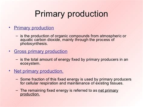 Energy in ecosystem new