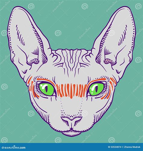 Cat Hairless Sphinx Breed Sketch Hand Drawn Engraved Style Cartoon