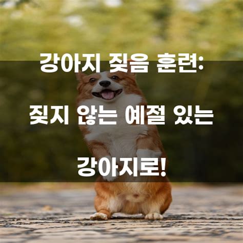 강아지 짖음 훈련 짖지 않는 예절 있는 강아지로