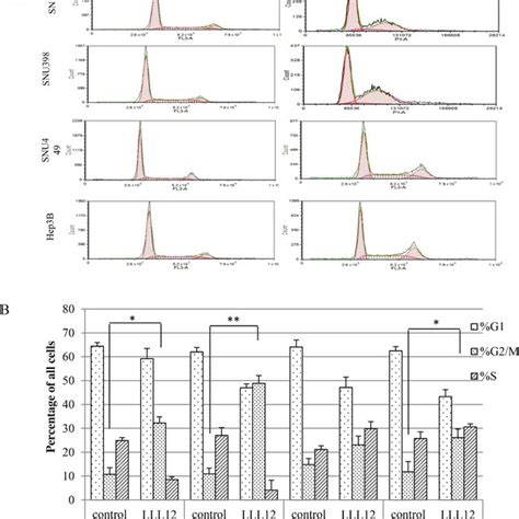 Flow Cytometric Analysis Of The Cell Cycles Of Hcc Cells A Hcc Cells Download High