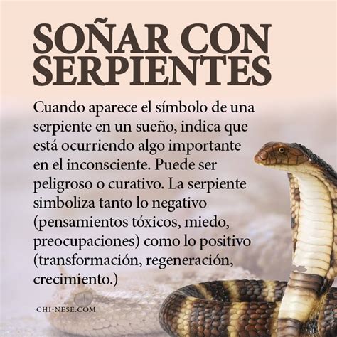 So Ar Con Serpientes Significado Espiritual Y Simbolismo