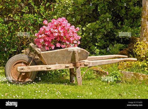 Vieille Brouette Bois Banque De Photographies Et Dimages Haute